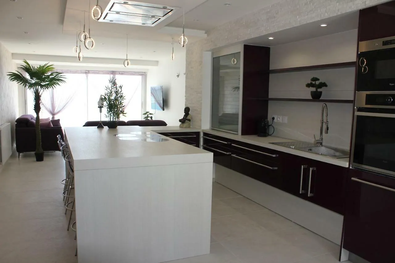 Appartement 3 Pieces Nice Promenade Des Anglais Dernier Etage Vue Mer Solarium Daire
