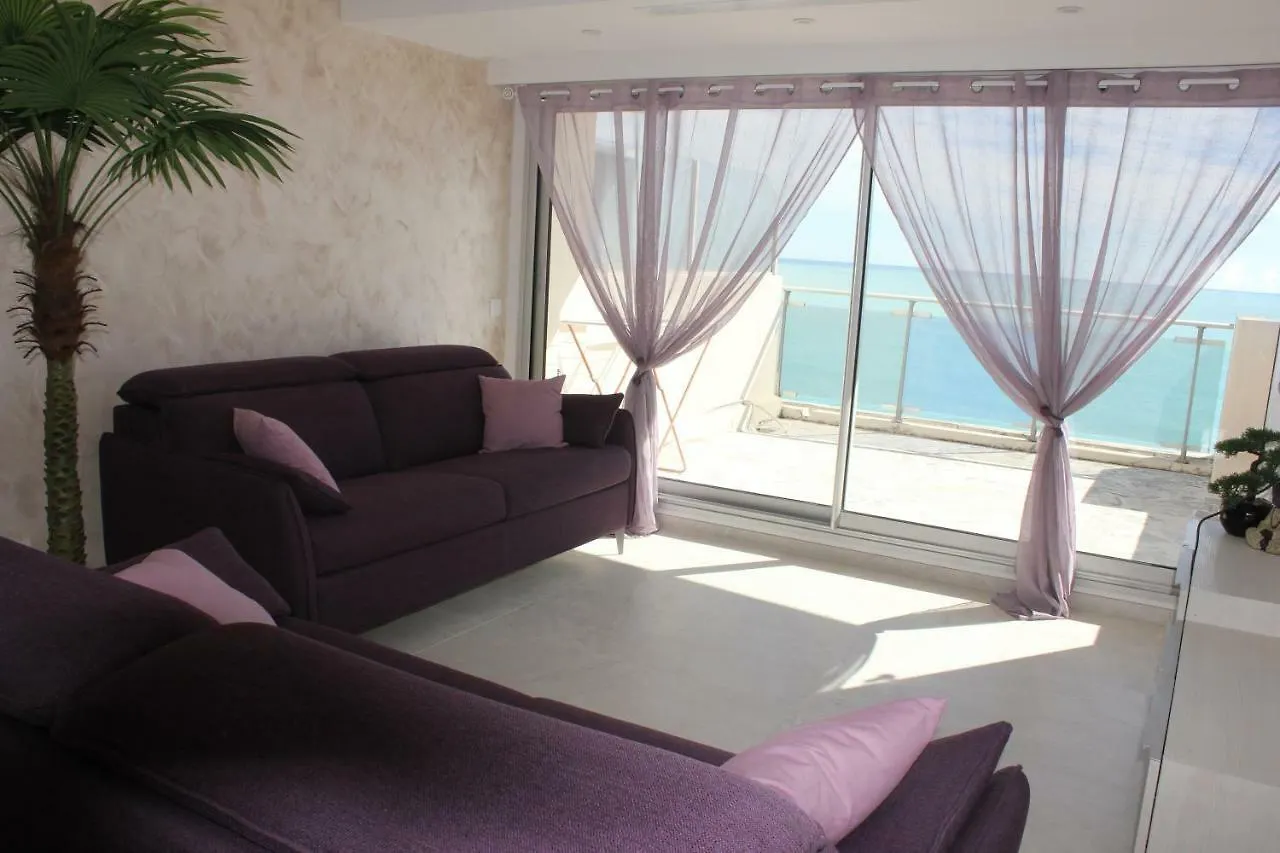 Appartement 3 Pieces Nice Promenade Des Anglais Dernier Etage Vue Mer Solarium Daire