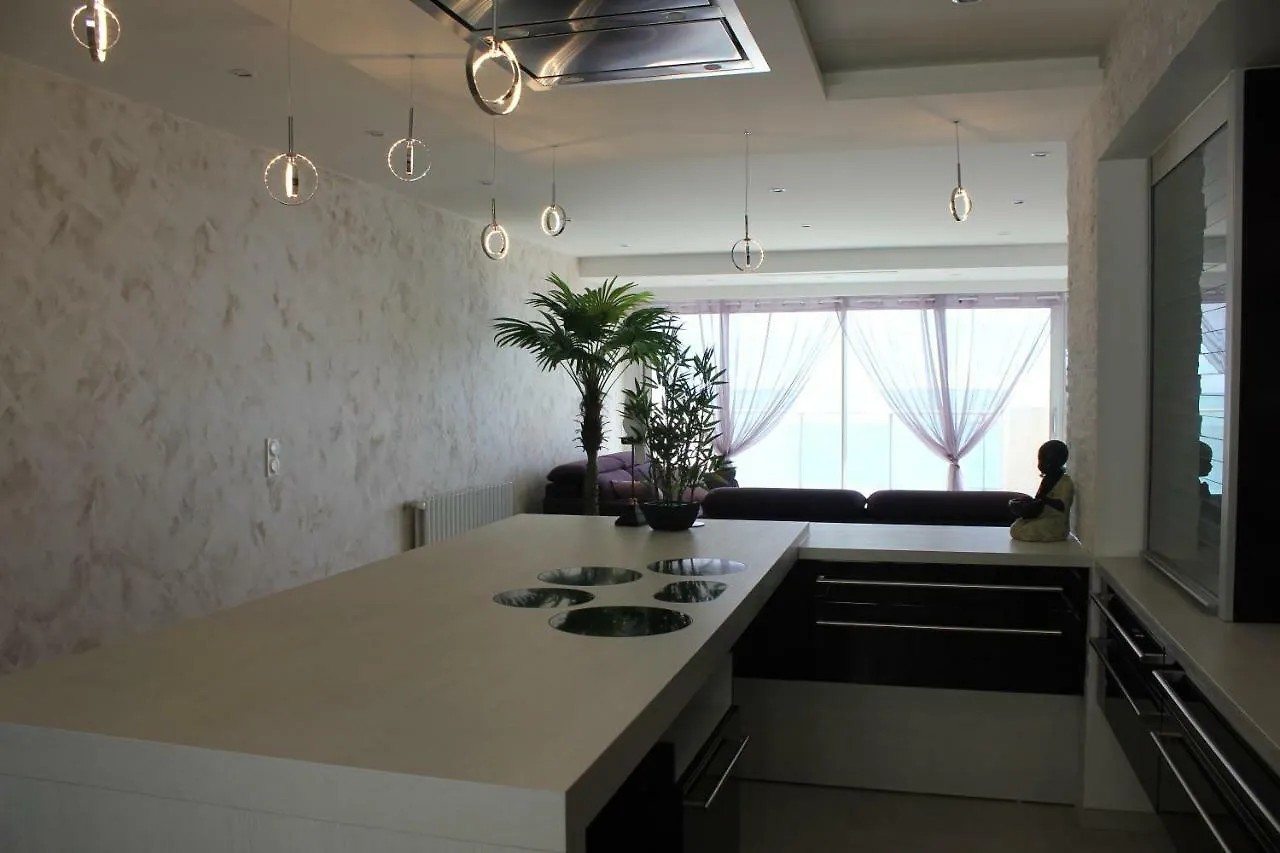 Appartement 3 Pieces Nice Promenade Des Anglais Dernier Etage Vue Mer Solarium 法国
